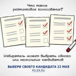 Севастопольцы! 22 мая вы можете проголосовать за нескольких кандидатов сразу!