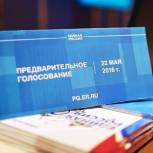 Лидия Антонова: Бюллетени для предварительного голосования подделать невозможно