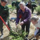 Серпуховчане внесли свой вклад в спасение подмосковных лесов