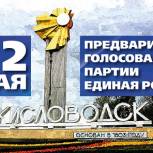 Пять участников предварительного голосования борются за Кисловодский округ