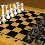 Партийцы проводят в Терновке турниры по шахматам