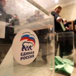 В регионах России стартовало предварительное голосование