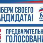 Главный смысл предварительного голосования - это опора на мнение жителей