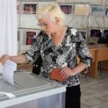 На территории Амурской области началось предварительное голосование