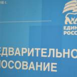 В Ярославле поддерживают инициативу узаконить процедуру предварительного голосования