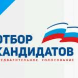 В Калужской области прошло предварительное голосование