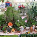 Юных воронежцев приглашают к участию в конкурсе «Зеленый островок»