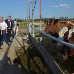 Медведев считает возможным снизить ставки по кредитам для аграриев