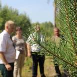 В Ковровском районе в рамках проекта "Живой лес" провели мониторинг леса