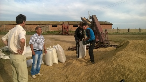 Погода в гайском округе. Приузенский Александрово-Гайского района Саратовской. Приузенский Саратовская область Александрово-Гайский район село. Село канавка Александрово-Гайского района. Саратовская область Новоузенский район ,колхоз красный. Партизан.