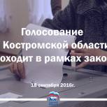 Голосование в Костромской области идет в рамках закона