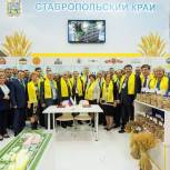 Дмитрий Медведев оценил экспортный потенциал Ставрополья, представленный на «Золотой осени»
