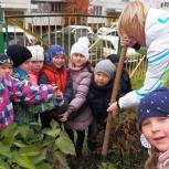 Партпроект благоустроил территории детсадов Южно-Сахалинска