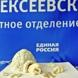 Единороссы Алексеевского района объявили творческий конкурс ко Дню рождения партии
