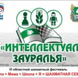 В поселке Мишкино Курганской области состоялся 6-й областной фестиваль «Папа + Мама + Школа + Я = Шахматная семья»