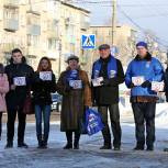 Партийцы Серпухова провели акцию в рамках партийного проекта «Безопасные дороги»