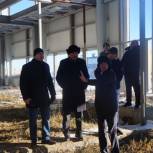 Строительство ФОКа в Татищево возобновится в апреле следующего года