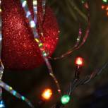 В Приамурье стартовала традиционная новогодняя партийная акция «Дед Мороз – единоросс»