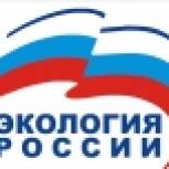 Миллионы школьников примут участие в экологической акции партпроекта «Единой России» «Экология России»