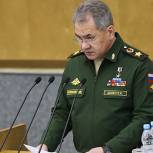 Шойгу попросил депутатов Госдумы помочь парламенту Сирии