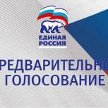 В «Единой России» рассказали о ходе подготовки к предварительному голосованию