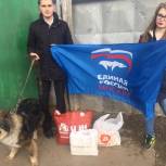 Партийцы Бескудниковского района посетили приют для бездомных собак