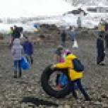 Школьники приняли участие в очистке берега Авачинской губы