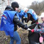 Одинцовские единороссы очистили от мусора лес вдоль улицы Говорова в Одинцово