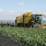 В Татарстане за три месяца произведено сельхозпродукции на 38,1 млрд рублей