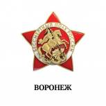 В Воронеже пройдет шествие «Бессмертного полка»