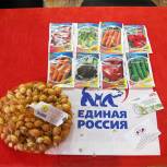 В Кузбассе начали раздавать семена