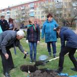 В Ленинске-Кузнецком открыли аллею 