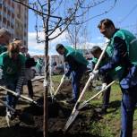 В Альметьевске появилась новая яблоневая аллея