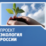 В Обнинске депутаты городского Собрания провели экоурок