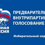 Участники предварительного голосования: избирательный округ №1