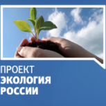 Более 2 млн школьников приняли участие в экоуроках в рамках партпроекта «Экология России»