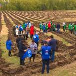 Акция «Сады победы» в Татарстане завершилась в селе 