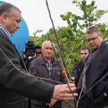 Ставрополье реализует инновационный проект интенсивного садоводства для ЛПХ