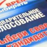 В  Курской области проходит предварительное голосование