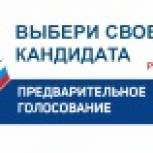 В Курске продолжается подготовка к предварительному голосованию