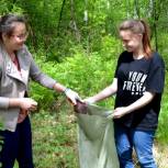 Активисты «Молодой Гвардии» отчистили от мусора лесной массив поселка