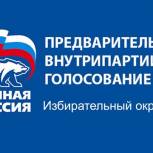 Участники предварительного голосования: избирательный округ №13