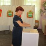 В Приамурье продолжается предварительное голосование: активнее всех голосуют жители Райчихинска и Свободного