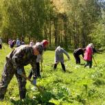 На борьбу с борщевиком вышли коркатовские единороссы