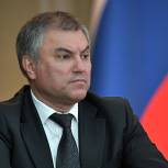 Володин предложил вынести на общественное обсуждение текст присяги при получении гражданства РФ   