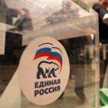 Предварительное голосование в Засвияжском районе пройдет 2 июля