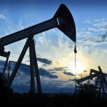 Нефтегазовые компании находят замену импорту у тюменских предприятий