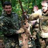 Под  Мамоново нашли самолет врёмен Великой Отечественной войны 