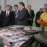 Глава Правительства РФ поручил наладить поставки дальневосточной рыбы по всей России 
