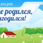 Началось голосование на сайте общественной акции «Где родился, там и пригодился!»
